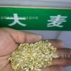 批發(fā)優(yōu)質(zhì)高產(chǎn)牧草種子 農(nóng)作物種子 大麥種子 當(dāng)年新種子