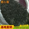 廠家批發(fā)黑心菊種子黑心金光菊