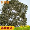 批發(fā)庭院陽(yáng)臺(tái)易種宿根草花紫色松果菊種子景觀花海
