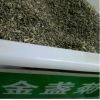 批發(fā)工程草花金盞菊種子耐寒景觀綠化庭院陽(yáng)臺(tái)盆栽花卉