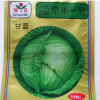 批發(fā)甘藍(lán) 京豐一號(hào) 露地栽培 品質(zhì)佳 口感好 量大優(yōu)惠