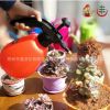 華豐2L灑水/澆花噴壺壓力噴水壺/園藝工具 小噴霧器氣壓式澆水瓶
