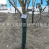 廠家供應 樹木養(yǎng)護帶 植物繃帶園林苗木防寒布園林綠化包樹毯