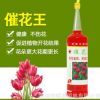 暉皇園林養(yǎng)花專(zhuān)用營(yíng)養(yǎng)液水培土培花卉肥料蘭花牡丹有機(jī)花肥催花王