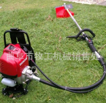 廠家直銷手推式汽油草坪機(jī) 園林綠化修剪工具