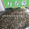 批發(fā)優(yōu)質(zhì)萬(wàn)壽菊種子草花種子萬(wàn)壽菊花卉種子量大優(yōu)惠品質(zhì)保證
