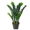金錢樹盆栽觀葉綠植室內大盆栽金錢樹規(guī)格全量大從優(yōu)