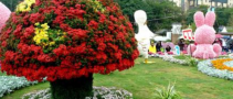 2019第十屆中國(guó)北京國(guó)際花卉園藝展覽會(huì)