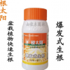 根太陽(yáng)植物龍盆栽植物生根劑100ML爆發(fā)式生根每瓶可兌水180公斤