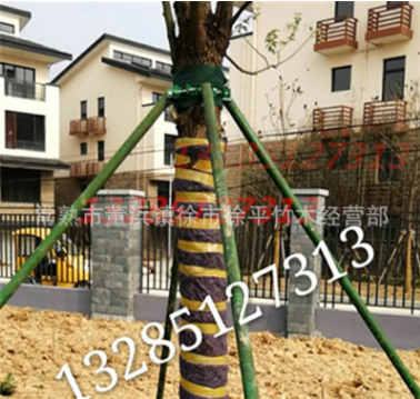 園林樹(shù)木鋼管支撐架 支撐器 樹(shù)木支撐架 鐵環(huán)支架支撐桿加工定做
