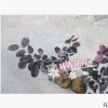 沐春花卉--供應紅花繼木小苗有分支基地直銷綠化工程苗木量大從優