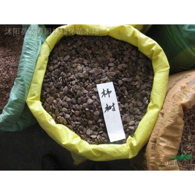直銷喬木-白皮松，白皮松直銷基地，又名虎皮松、三針?biāo)桑坠?/></a>
<div><a href=