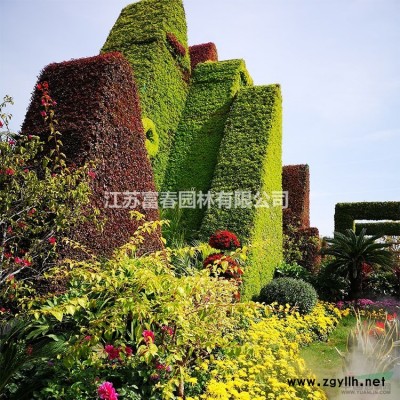 花境植物珍珠繡線菊加侖盆苗 杯苗 袋苗 大桶苗 產地批發