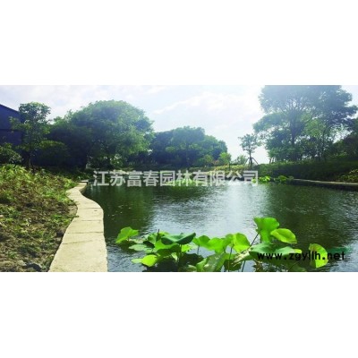 紅花重瓣櫻花 京紅早櫻樹苗價格優(yōu)確保品種純正