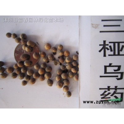 創(chuàng)意動物造型雕塑戶外綠化工程造景植物雕塑廠家定制仿真綠雕