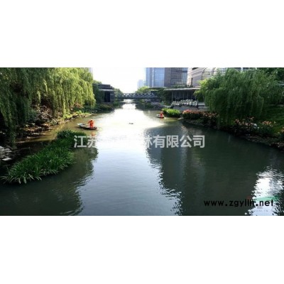 紫穗槐槐苗基地防沙固沙護(hù)坡植物紫花苗刺槐樹苗耐寒耐旱綠化