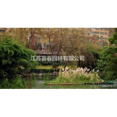 生態(tài)浮島景觀 人工浮床 水生態(tài)修復(fù)浮床 水體凈化浮床 廠家一站式服務(wù)
