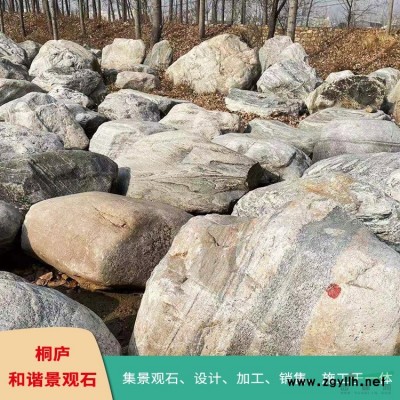 太湖石點(diǎn)綴窟窿石風(fēng)景石