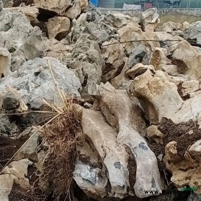 自然石浙江水沖石點石刻字石 J05