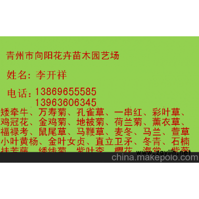湖南薰衣草生產(chǎn)基地一手貨源質(zhì)優(yōu)價(jià)廉