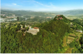 廣州天健天璽項(xiàng)目二期工程（多層住宅）大區(qū)園林景觀工程直接采購公告