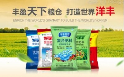 新洋豐農業科技股份有限公司