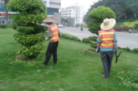 沂南西山小區(qū)棚改項(xiàng)目幼兒園綠化配套工程競爭性磋商公告