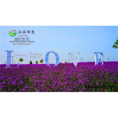 歐李種子一般多少錢(qián)一斤...認(rèn)證企業(yè)