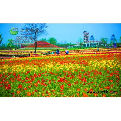 香樟種子種植技術(shù)方法...高發(fā)芽率