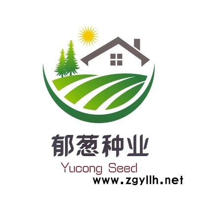 皇帝菊種子價(jià)格