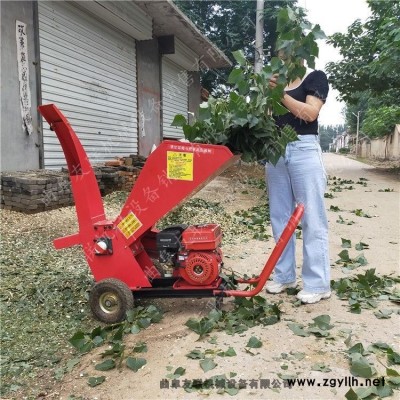 農業果園樹枝粉碎機物業小區家用碎木機景區葡萄園園林枝條粉碎機