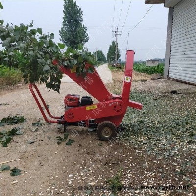 小區(qū)園林樹枝粉碎機大馬力樹枝粉碎機 城市綠化碎枝機 現(xiàn)貨