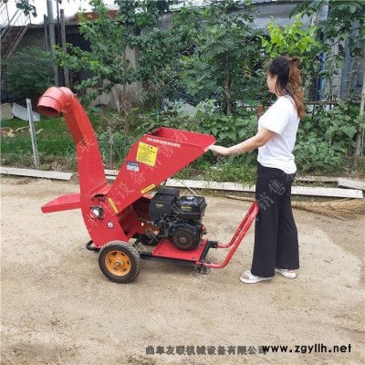 干濕兩用果樹枝條粉碎機 臥式樹枝稻草粉碎機  園林伐木樹枝切粒機