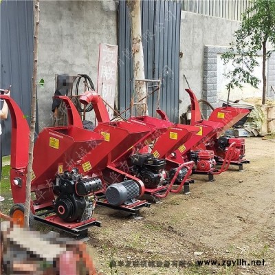 樹枝粉碎機(jī)生產(chǎn)廠家小型碎枝機(jī)臥式園林葡萄枝粉碎機(jī)