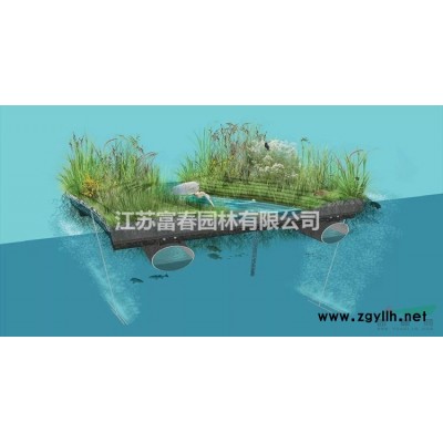 基地出售喬木中華凌霄樹 高桿美國凌霄花園林綠化風(fēng)景行道樹