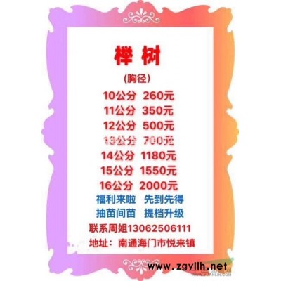 江蘇[產(chǎn)品]/江蘇10-20公分香樟 江蘇香樟處理價格價格/報價