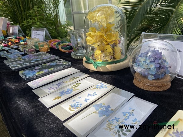 現(xiàn)場(chǎng)展示的繡球花加工產(chǎn)品 - 復(fù)件.jpg